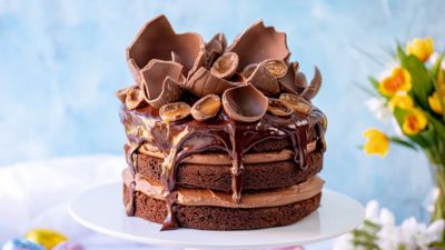 Chocolate Mousse Easter Cake