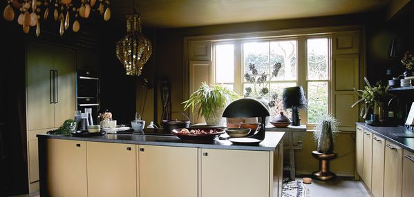 Kitchen with large window and plants