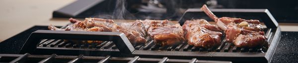 Notre suggestion : grill barbecue NEFF