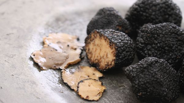Périgord truffles