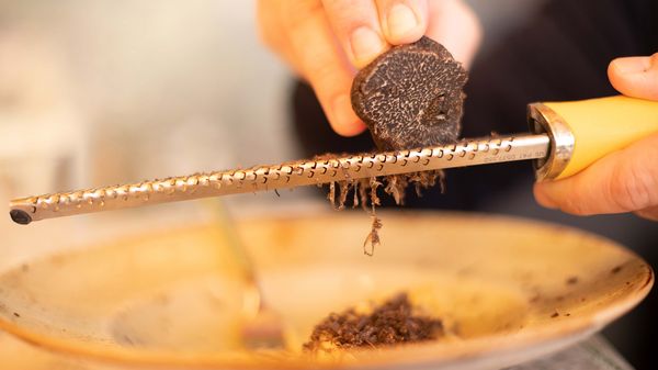 Best practice: How to store truffles