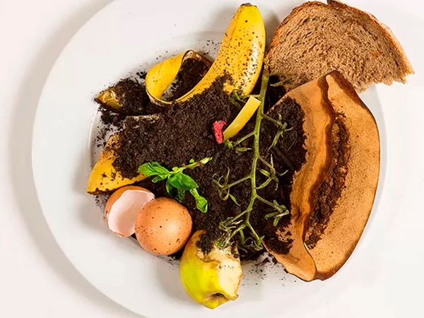 Food waste placed on a plate, ready for the compost