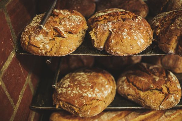 Fresh bread on a rack