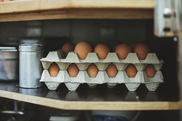 Tray of eggs 