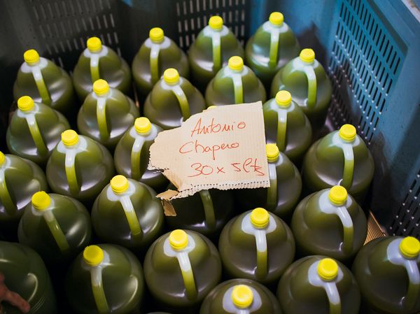 Olive oil in bottles