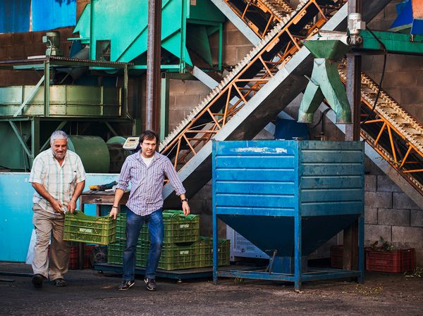 Men carrying box of olive oil outside factory