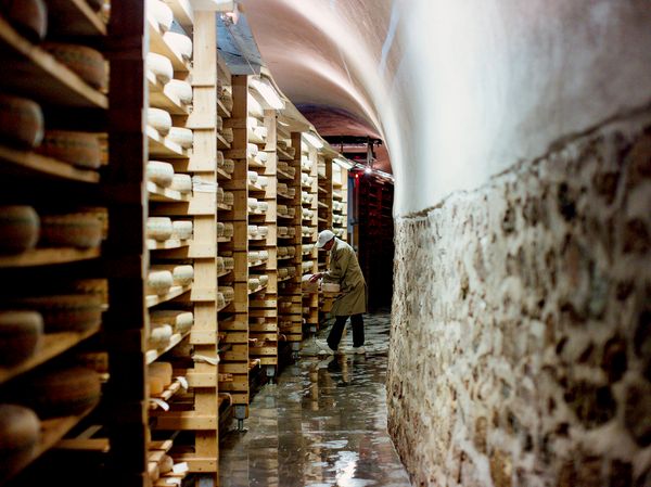 Man in french cheese cellar