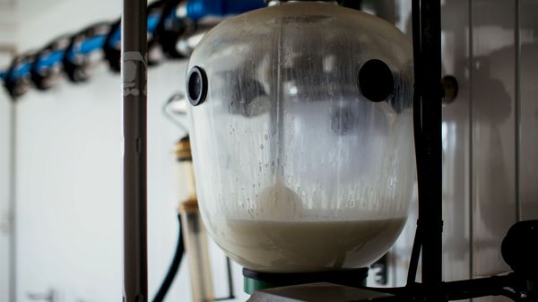Milk in a jar