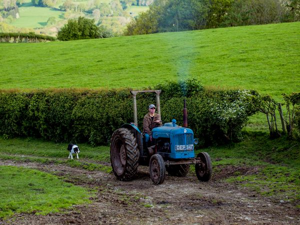 Man on tractor in fields