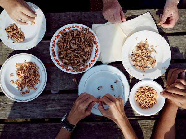 People peeling shrimp to eat