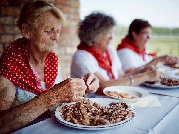 People hand sorting shrimps