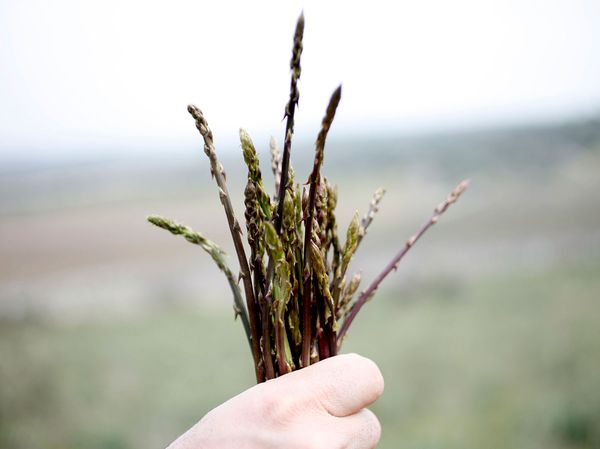 Respekt betyr forståelse for det naturen gir