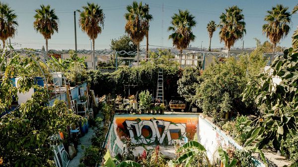 Gangsta's Paradise: Auf dem Parkplatz Gemüse anbauen