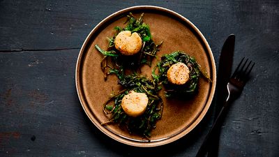 Warm seaweed salad topped with three seared scallops on a brown plate