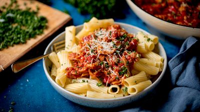 Slow Cooked Chicken Ragu