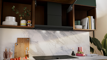 Integrated and Slideout Rangehoods