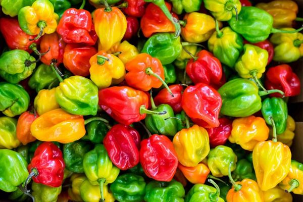 Spice up your kitchen: de chilipeper