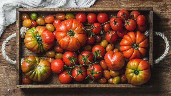 Cassetta di pomodori e pomodorini