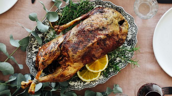 Christmas goose with orange and date stuffing.