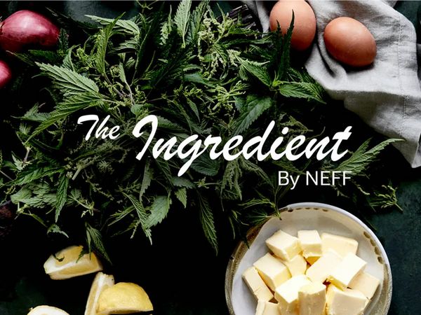 The Ingredient: Rezepte & Geschichten für kreative Köche