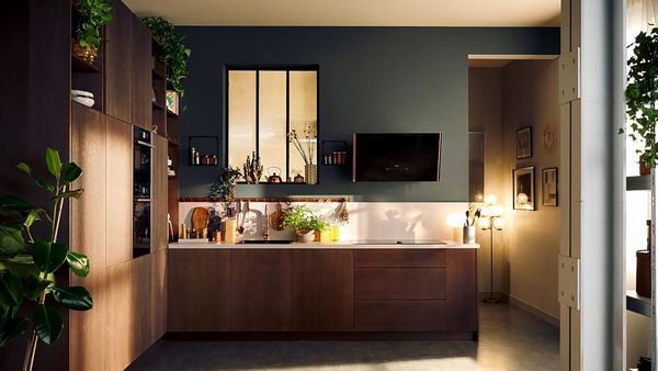 NEFF Collection in Brushed Bronze