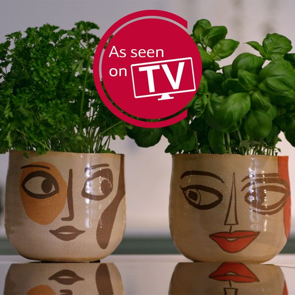 Herb planters with painted faces