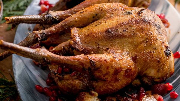 Neff roasted pheasant