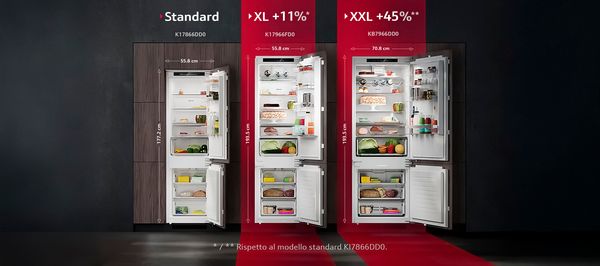 Modelli di frigorifero standard, XL e XXL, con l'indicazione delle rispettive dimensioni e delle differenze di capienza, su uno sfondo nero.