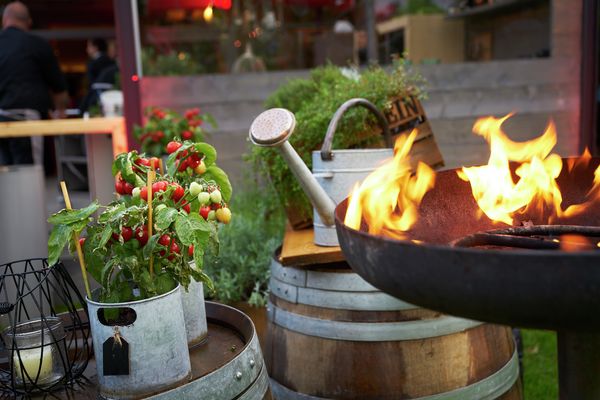 Vista su esterno della casa con piantine in primo piano