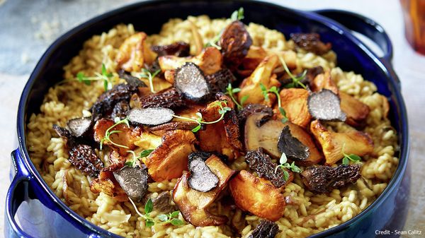 Neff Food Odyssey - Foraged mushroom and truffle risotto