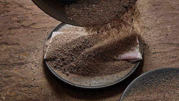 brewer's craft or crafty brewers