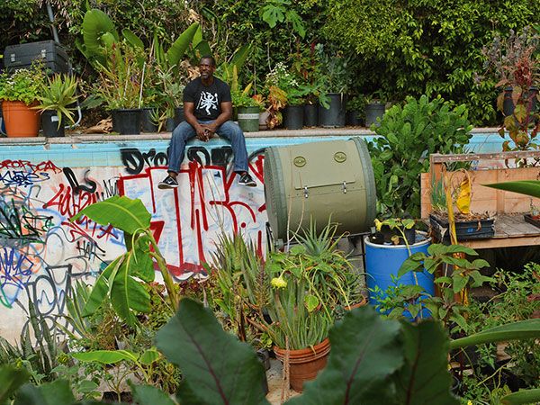 Gangsta's Paradise: Gemüse auf dem Parkplatz anbauen