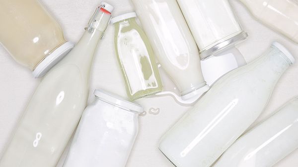 Tipps & Tricks: Pflanzendrinks - Die Milch, die keine ist