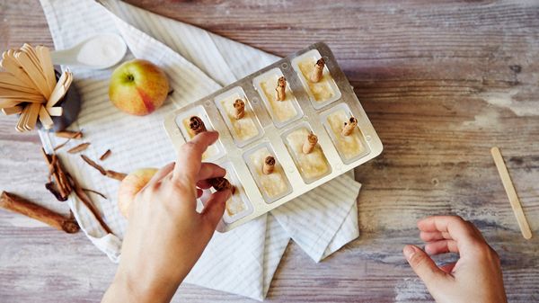 Step 3 -  apple & cinnamon ice creams