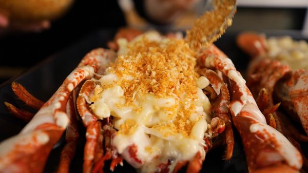 step 8 - lobster mac n cheese